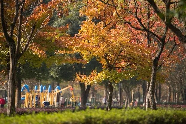 义乌最美的风景区是哪,义乌佛堂网红打卡地