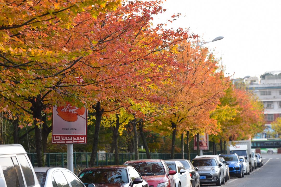 义乌最美的风景区是哪,义乌佛堂网红打卡地