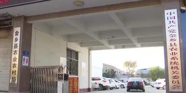 多菌灵致癌成功案例,多菌灵发生了药害怎么补救