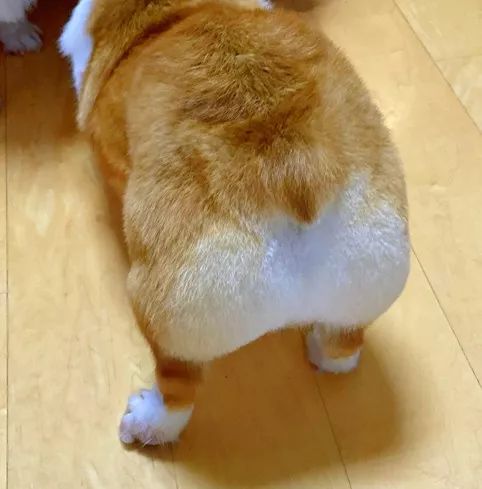 不列颠小店主,中国小网店,大历史的“小生意”