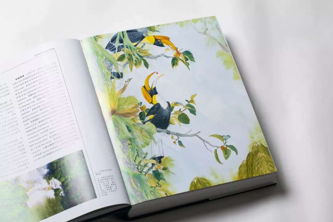 朋友,我看你与鸟类学有缘