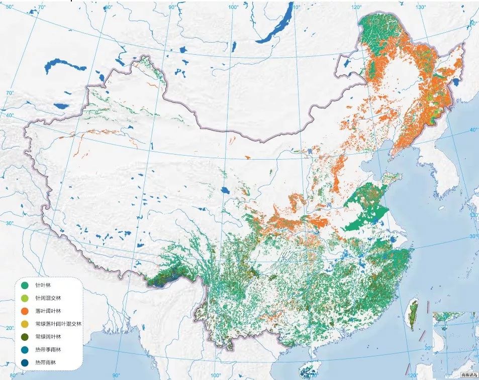 朋友,我看你与鸟类学有缘