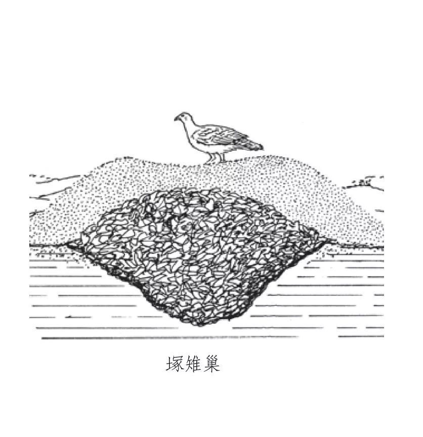 朋友,我看你与鸟类学有缘