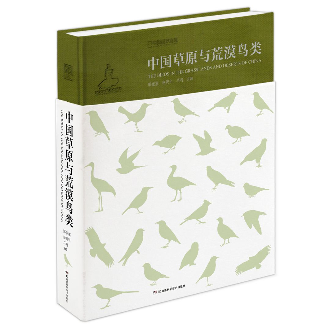 朋友,我看你与鸟类学有缘