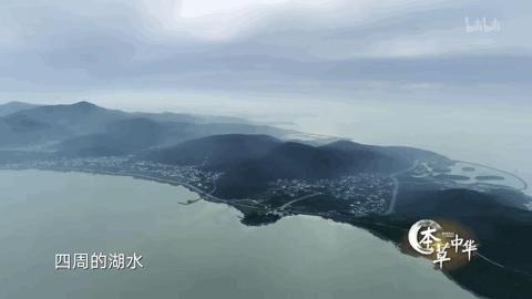 向大学蜂蜜研究所定制了一罐枇杷冬蜜，甜甜润润杏仁香