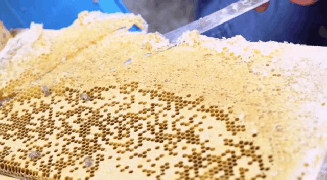 向大学蜂蜜研究所定制了一罐枇杷冬蜜,甜甜润润杏仁香