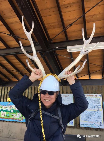 带娃出国旅行,包车游才爽啊!双十二的全部特惠路线我都整理好了