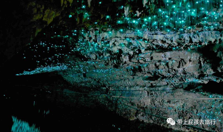 带娃出国旅行,包车游才爽啊!双十二的全部特惠路线我都整理好了