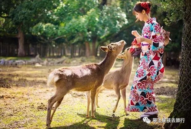 带娃出国旅行,包车游才爽啊!双十二的全部特惠路线我都整理好了