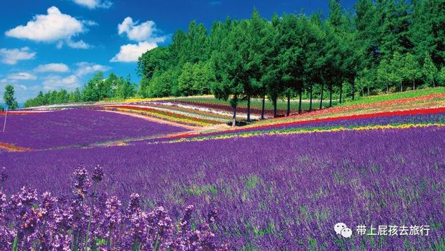 带娃出国旅行,包车游才爽啊!双十二的全部特惠路线我都整理好了
