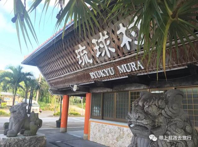 带娃出国旅行,包车游才爽啊!双十二的全部特惠路线我都整理好了