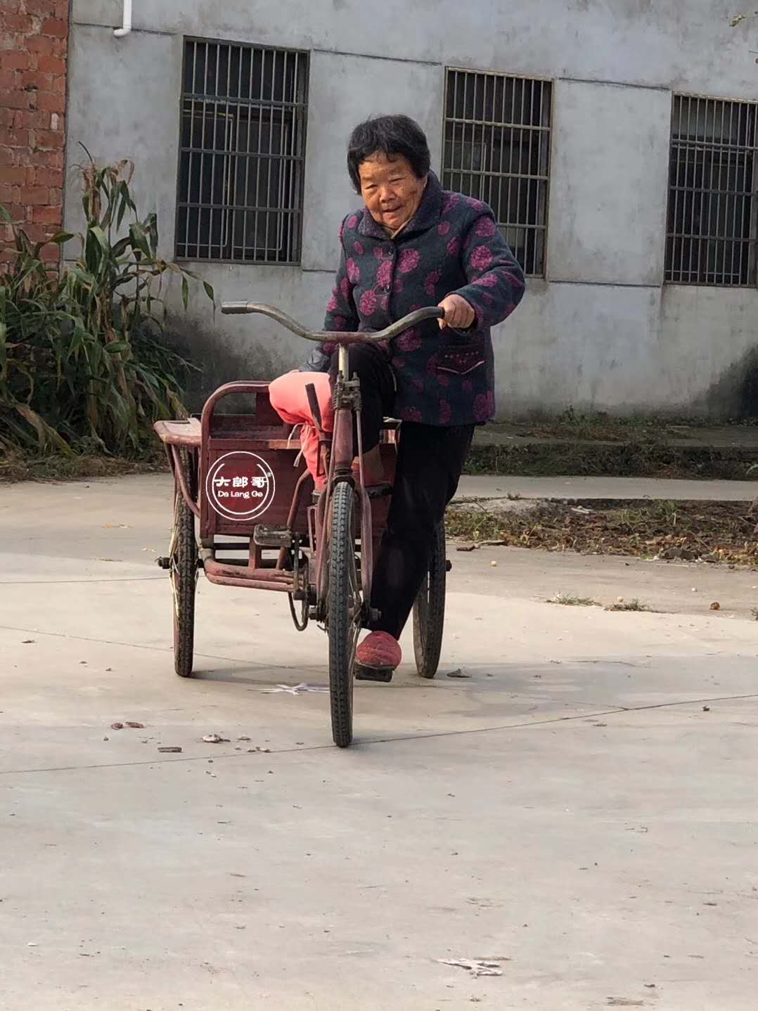 一只土鸡验收要十多个项目达标90后江苏小伙闯出新行当