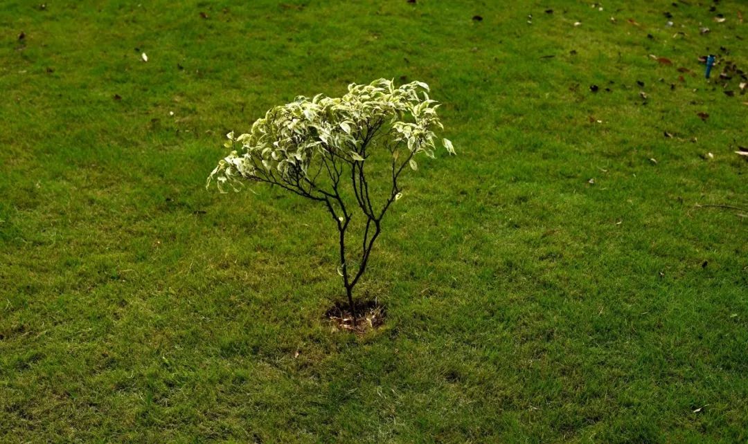 这个遥控器叫“挤粉刺”，按的时候就像我们在挤自己的青春痘