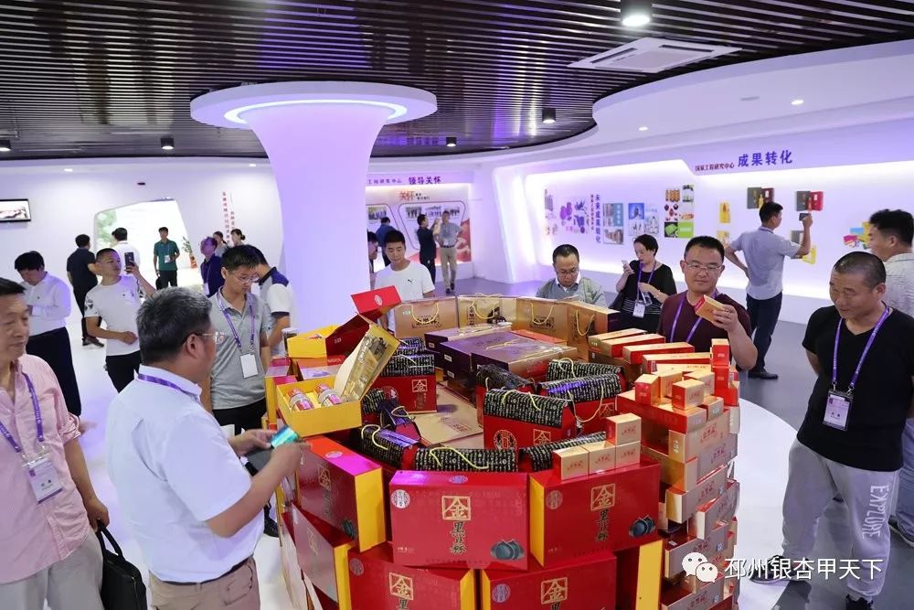 邳州大蒜获地理标志保护,邳州大蒜获得欧盟地理标志保护