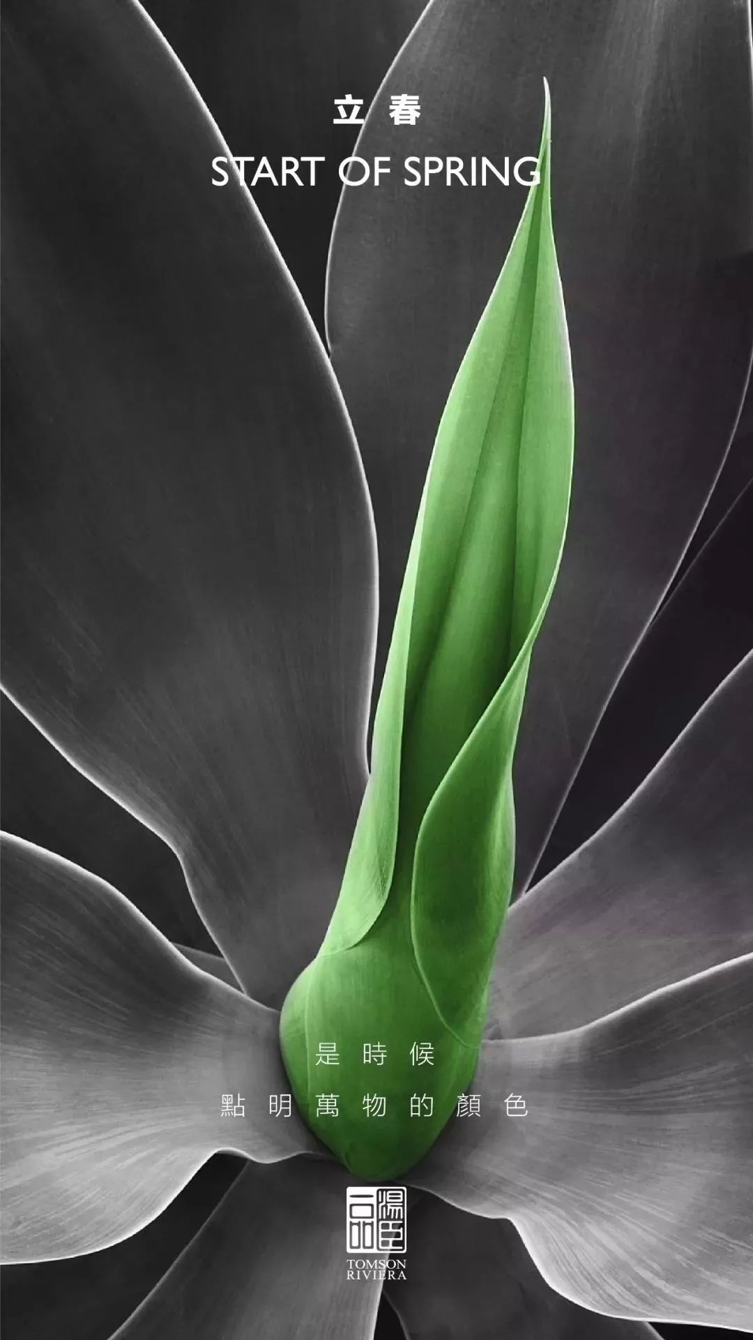 高端豪宅走心文案,最顶级豪宅文案