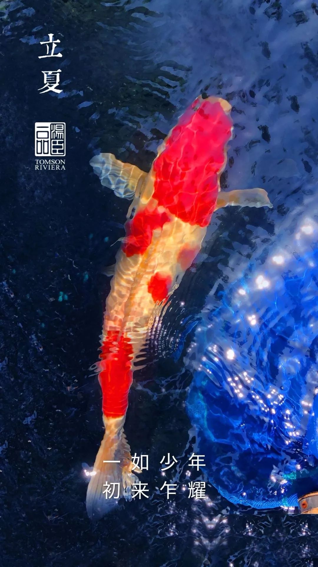 高端豪宅走心文案,最顶级豪宅文案