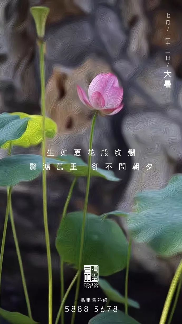 高端豪宅走心文案,最顶级豪宅文案