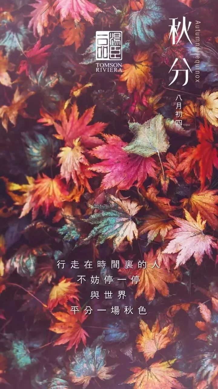 高端豪宅走心文案,最顶级豪宅文案