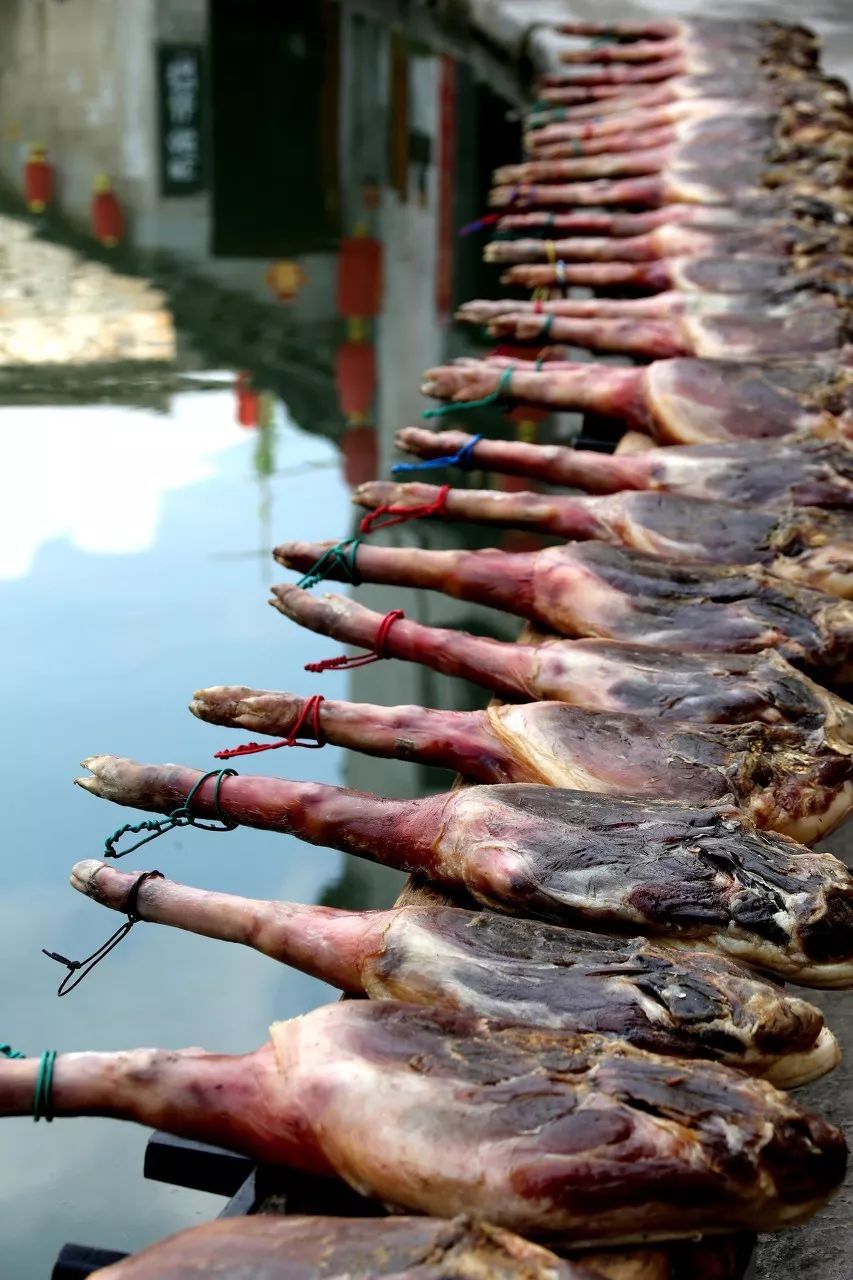 世界公认最完美的腿,世界上最惊艳的短腿