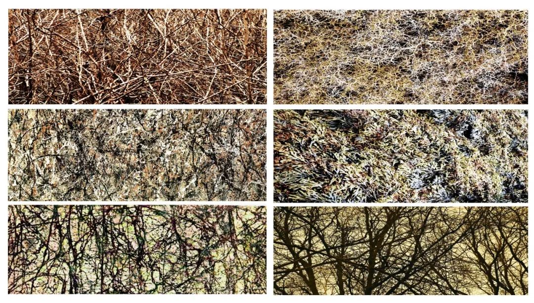 乱涂乱画成就艺术,喜欢在纸上乱涂乱画心理