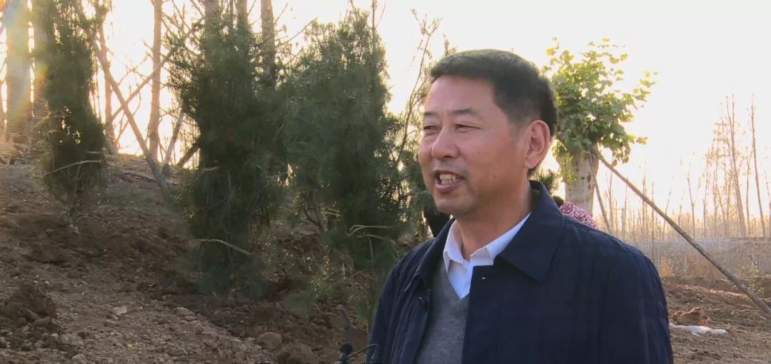 沁园公园,沁园公园风景区