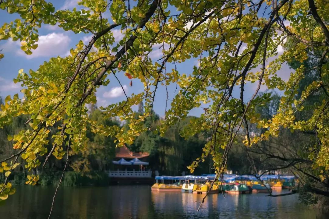 昆明春城秀图片,昆明春城景色