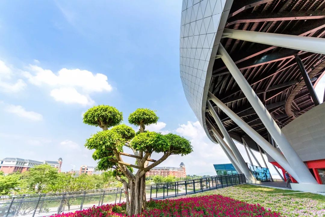 星空屋顶网红打卡点,星空屋顶网红打卡点陕西