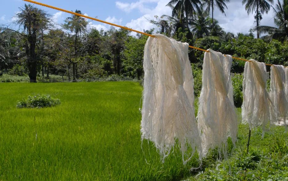 一千朵花填充出的「羽绒衫」|会烂吗？保暖吗？