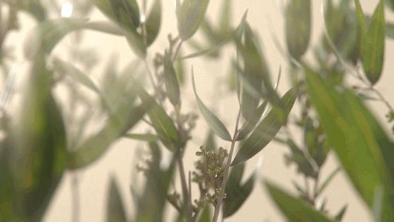 一千朵花填充出的「羽绒衫」|会烂吗？保暖吗？