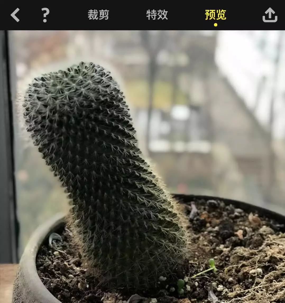 摄影的黄金时段和蓝调时段app,最适合拍日出与日落的相机app