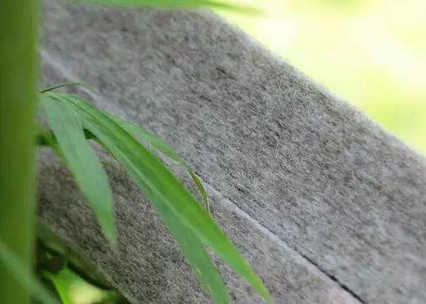 谁说只有美容有？时装也有成分*党**