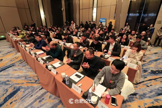 合肥瑞俪宜家家居股份有限公司董事长杨永强获“2018中国安徽家居优秀人物”奖项