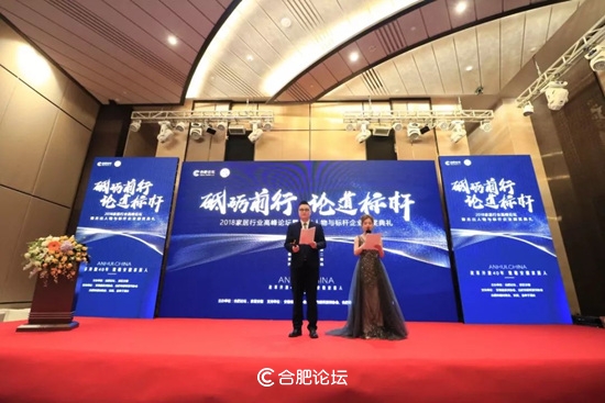 合肥瑞俪宜家家居股份有限公司董事长杨永强获“2018中国安徽家居优秀人物”奖项