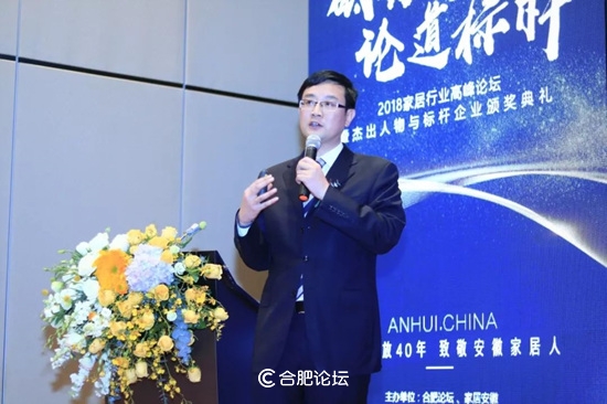 合肥瑞俪宜家家居股份有限公司董事长杨永强获“2018中国安徽家居优秀人物”奖项