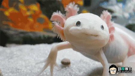 打嗝怎么办快速止嗝按哪里,打嗝怎么办快速止嗝按哪个穴位