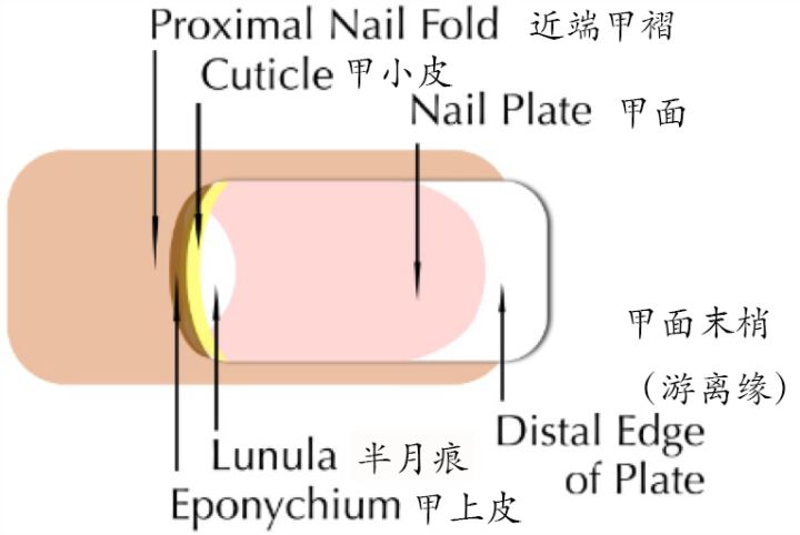 颜人中林允欧阳娜娜,林允王大陆欧阳娜娜