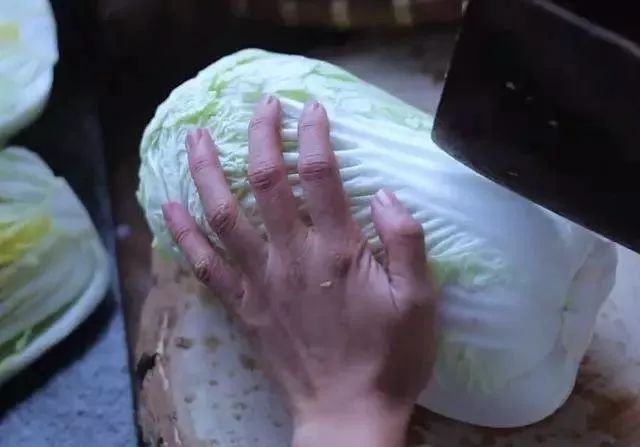 央视评李子柒走红的原因,李子柒被赞视频