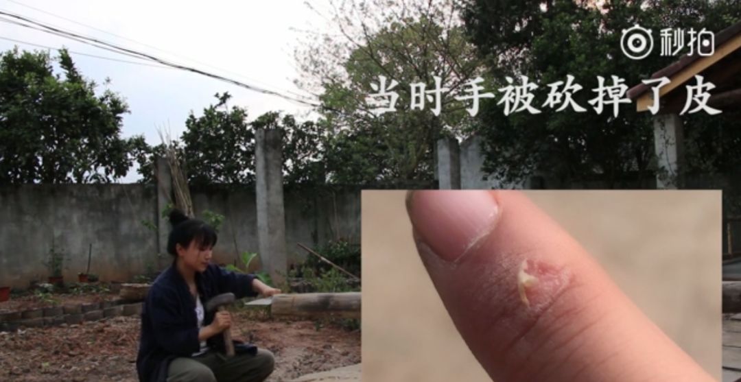 央视评李子柒走红的原因,李子柒被赞视频