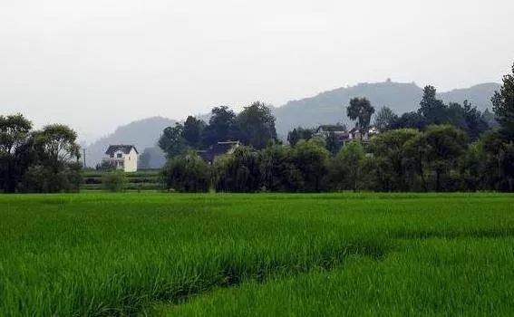 成都到贵阳最新高铁规划,成都到贵阳高铁的最新规划