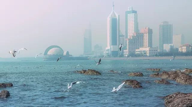 你想知道的社保卡办理、使用问题清单都在这里了！速看！