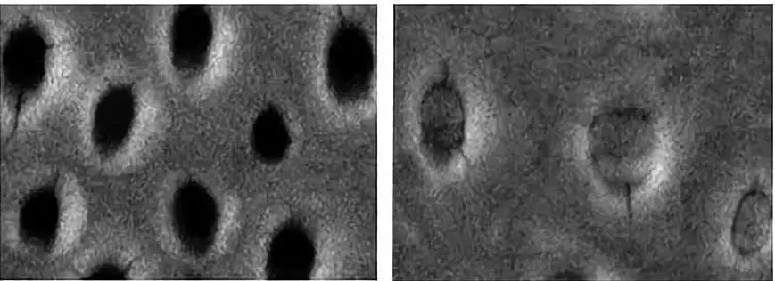 一款美白无敌的牙膏,美白黄牙烟渍最好的牙膏