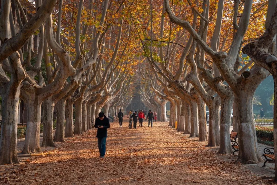 西安人的常态 (西安人都在等什么)