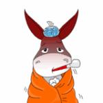 紫癜有发烧的症状怎么办,紫癜患者发烧后有什么后果