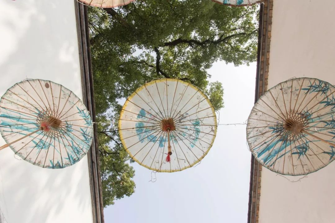 直道相思了无益完整诗句,那些相思入骨的绝美诗句