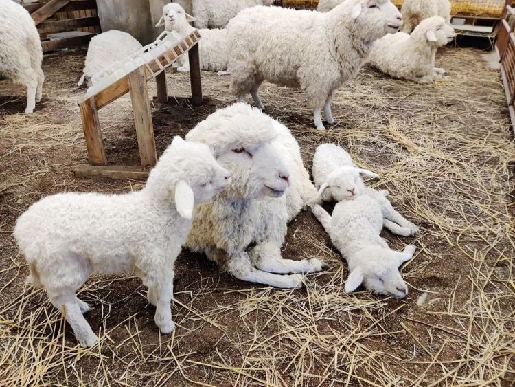 逛skp要花多少钱,pacorabanne北京skp南馆