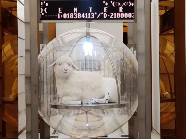 逛skp要花多少钱,pacorabanne北京skp南馆