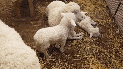 逛skp要花多少钱,pacorabanne北京skp南馆