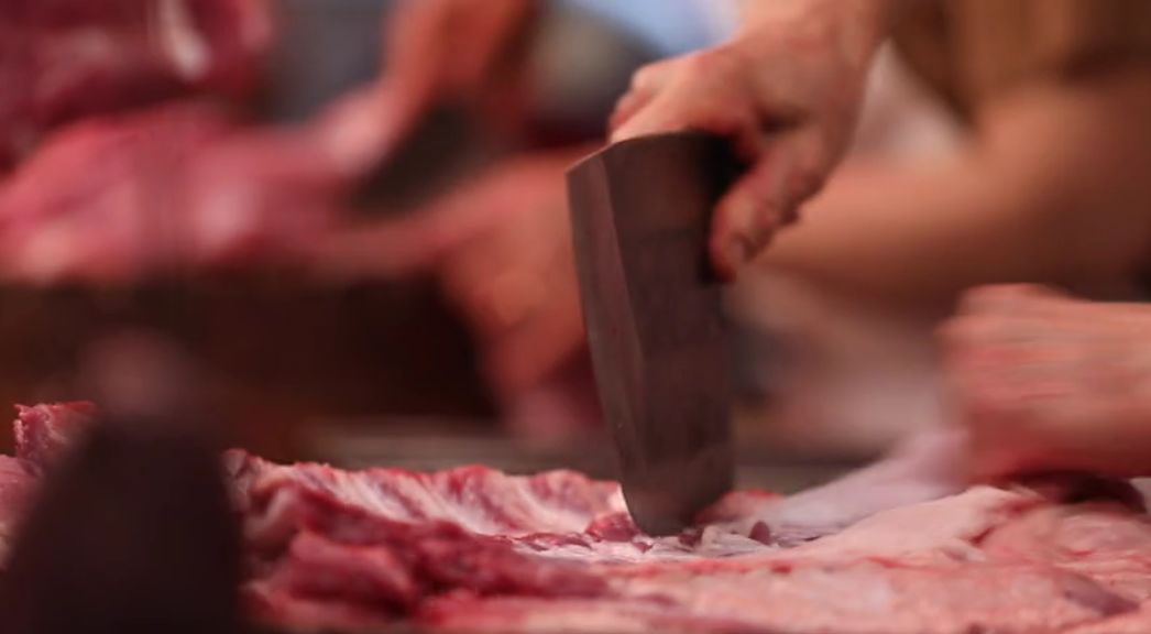 澳门回归澳门人的感受,澳门回归后的真实感受