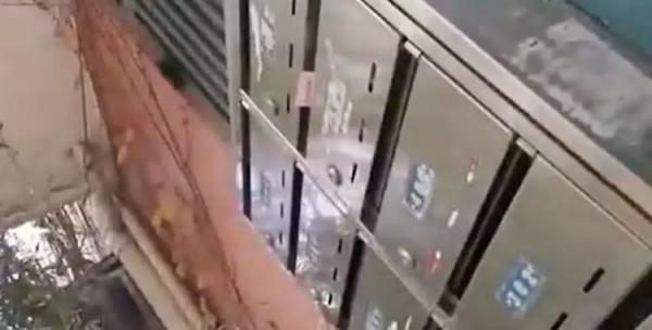 整个加工厨房全是血渍和污渍!胎盘直接烘干制成胶囊出售,隔着屏幕看吐了