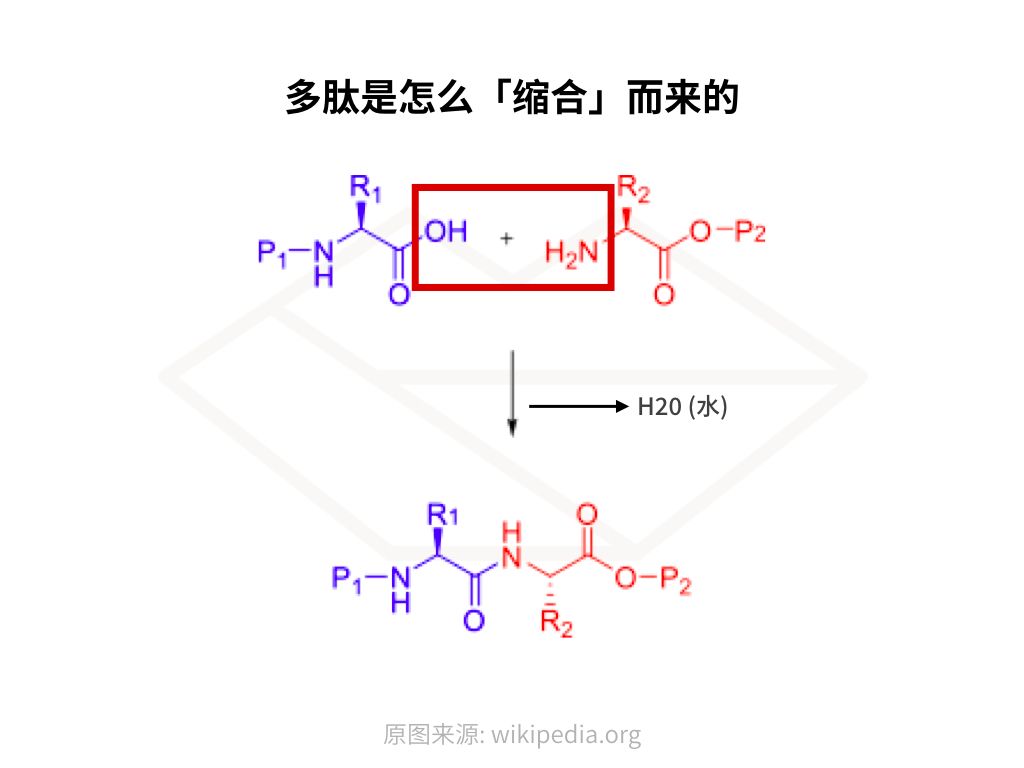 抗初老最好用的产品,抗初老单品哪个最好